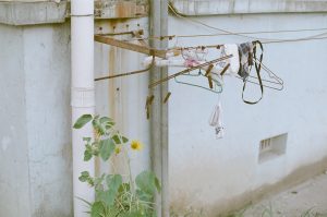 hangers and sunflower